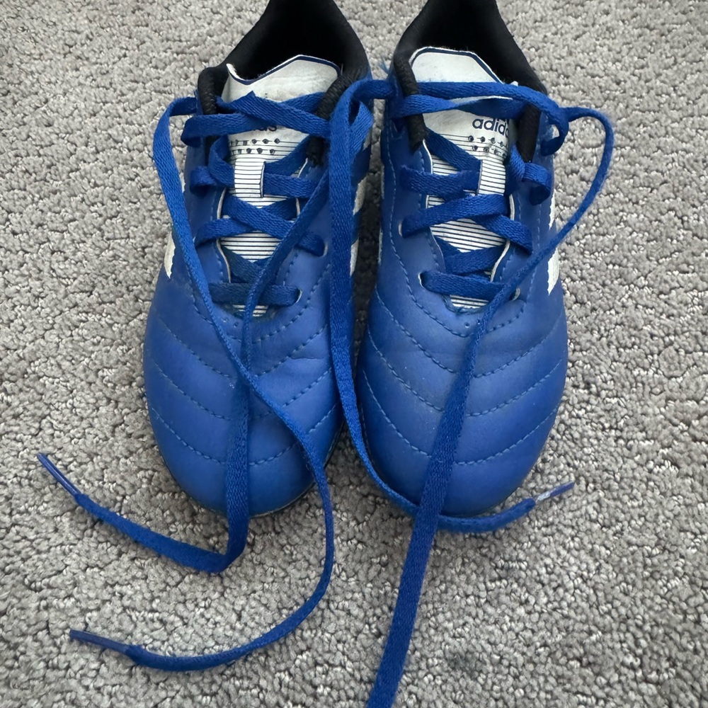 Adidas Royal Blue Soccer Shoes